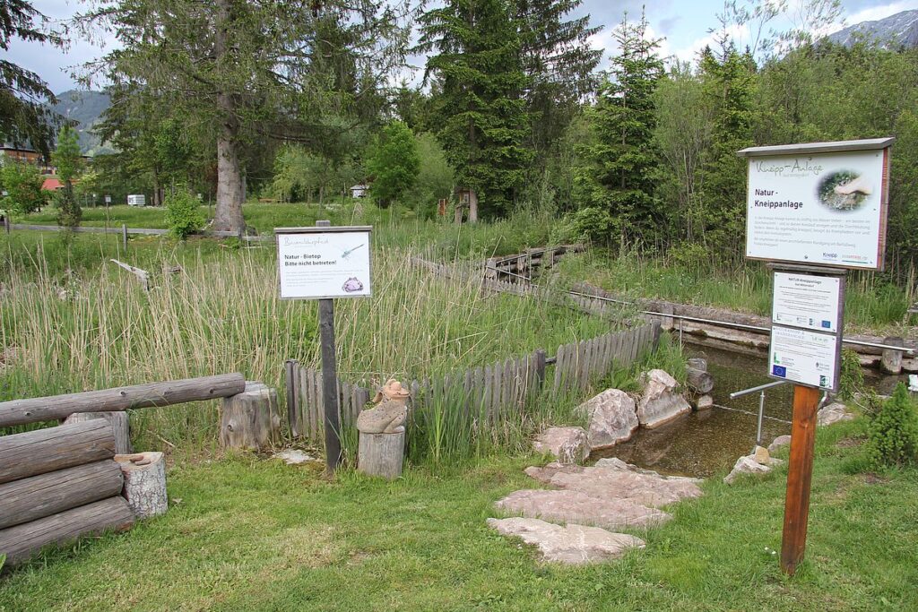 Nature park area with wooden signs, a shallow stream, and a reed-filledbank.