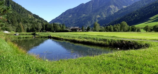 Gasthof zur Gams
