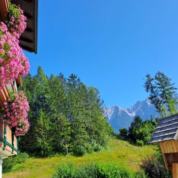 apparment-gewessler